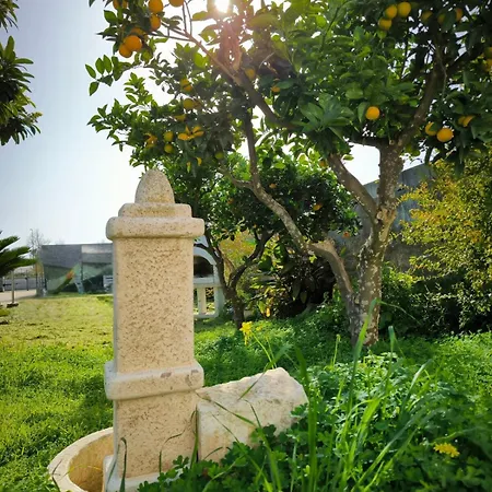 Casa Marinai D'italia 別荘